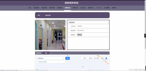 基于Spring Boot的宠物领养系统设计与实现